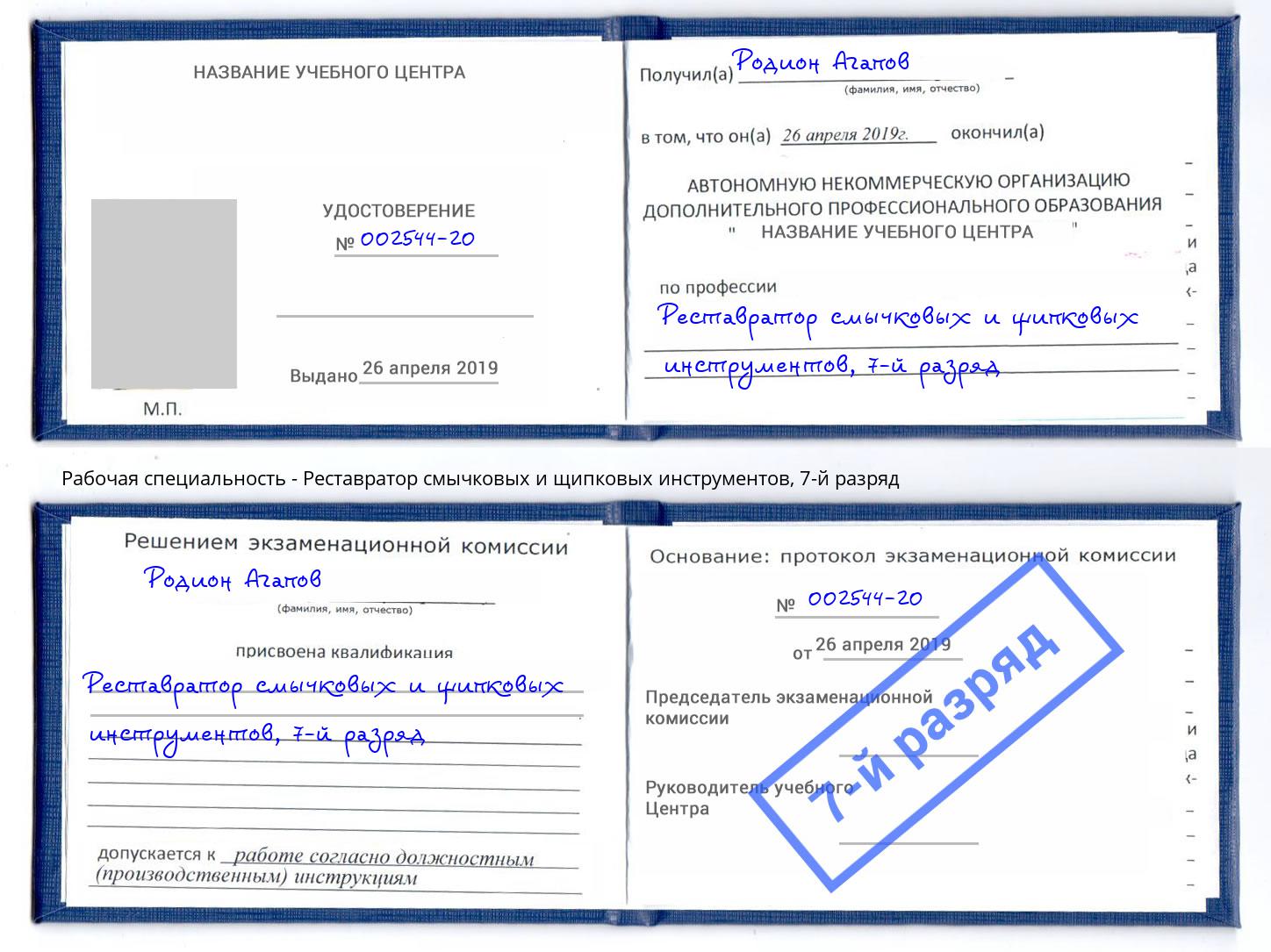 корочка 7-й разряд Реставратор смычковых и щипковых инструментов Майкоп